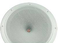 w10r-2-x-10-subwoofers-pair-white-10-ohm-parallel
