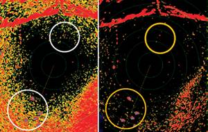 raymarine-hd-color-and-super-hd-color-open-array-radar